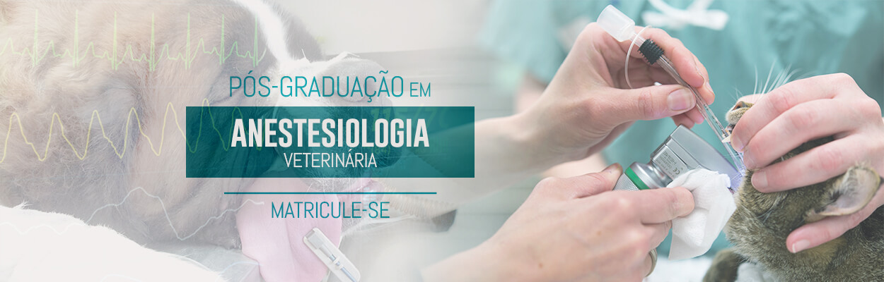 pos-graduacao-anestesiologia-veterinaria-famesp