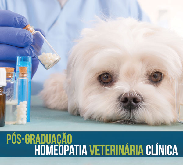 pos_homeopatia_veterinaria