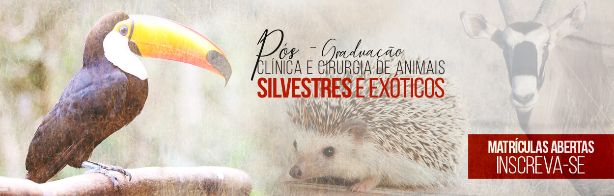 pos-graduacao-cirurgia-silvestres-matriculas-abertas-famesp