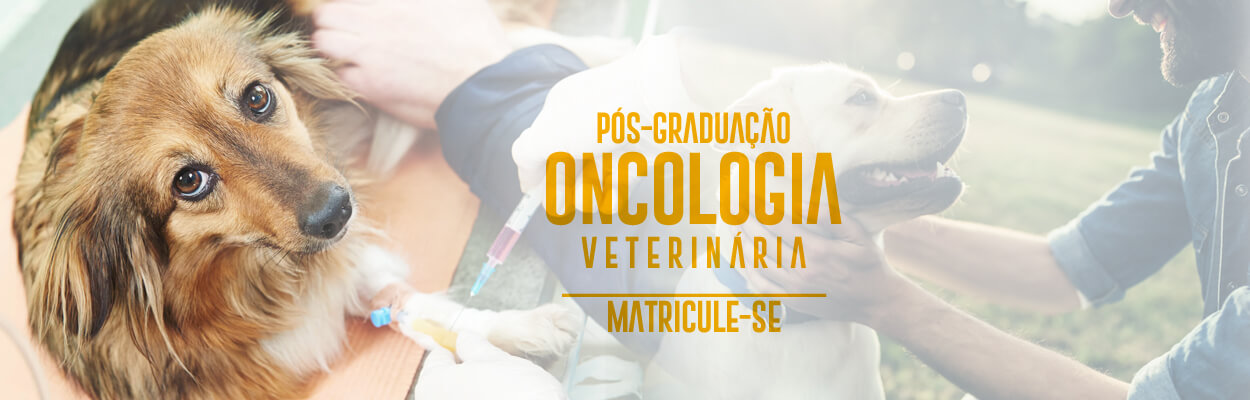 pos-graduacao-oncologia-veterinaria-famesp-famesp