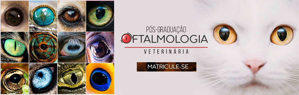 oftalmologia-veterinaria-pos-graduacao-famesp