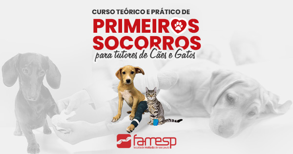 Primeiros Socorros  Programa de Educação Tutorial - PET/UFJ