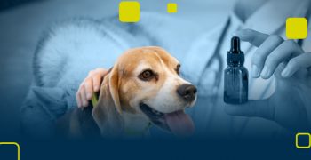 Pos-grad-em-Homeopatia-Veterinária-Clínica-CAPA-CURSO