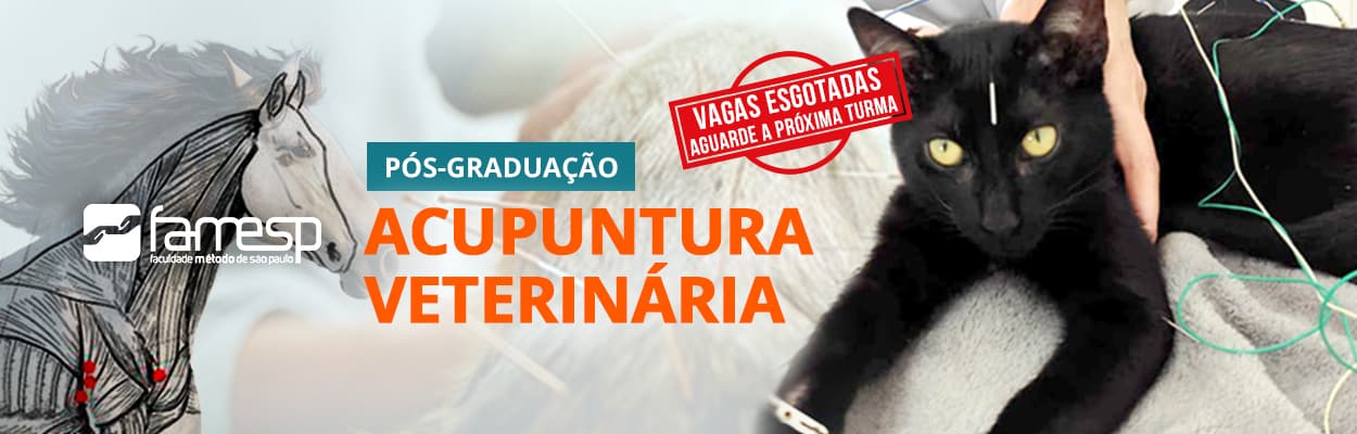 famesp-pos-graduacao-acupuntura-veterinaria-famesp