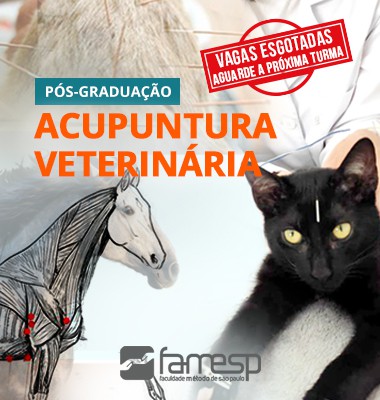 pos-graduacao-acupuntura-veterinaria-famesp-ayne-murata