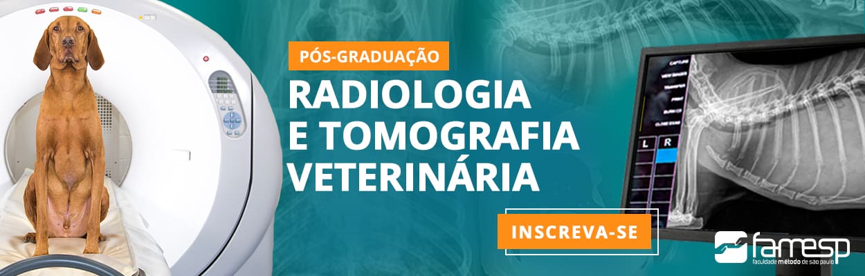 pos-radiologia-tomografia-veterinaria-famesp-igor-almeida-marcia-mello