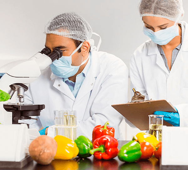 Vigilância Sanitária de Alimentos e Gestão de Pessoas