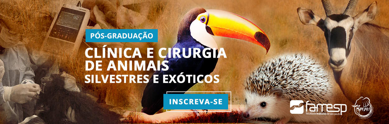 roberto-fecchio-pos-veterinaria-clinica-cirurgia-animais-silvestres-exoticos-famesp