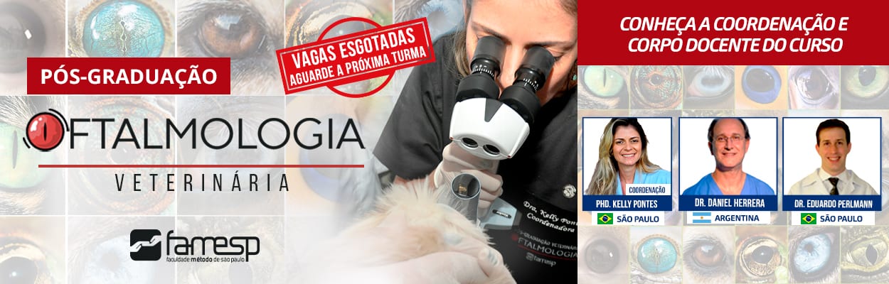 pos-graduacao-oftalmologia-veterinaria-famesp-kelly-pontes