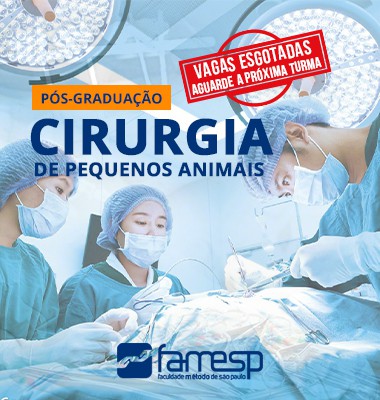 pos-graduacap-cirurgia-pequenos-animais-famesp-renato-dalcin
