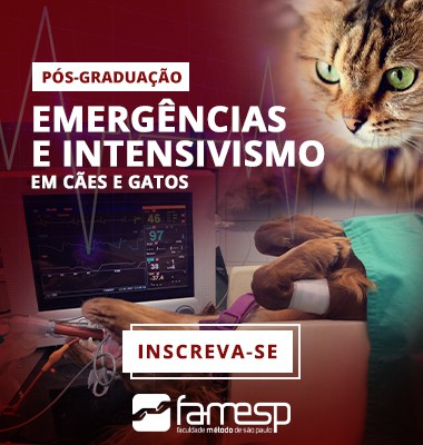 pos-graduacao-emergencias-intensivismo-caes-gatos-famesp-veterinaria