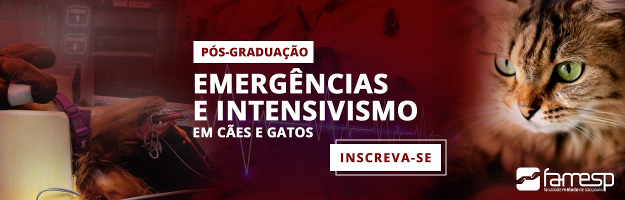 pos-veterinaria-emergencias-intensivismo-caes-gatos-famesp-fecchio-talita-brunharo-lucas-angelis
