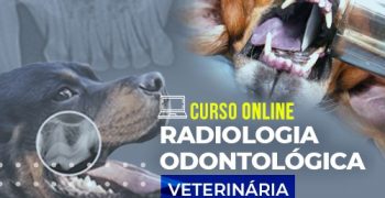 curso-online-aprimoramento-radiologia-odontologica-veterinaria-famesp