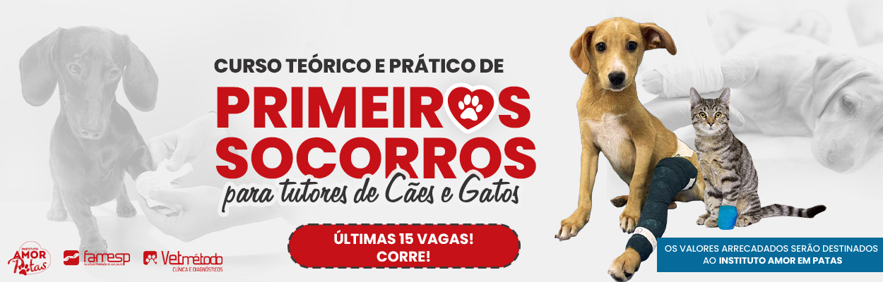 Conhe A O Curso De Primeiros Socorros Para Tutores De C Es E Gatos