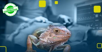 Pos-grad em Anestesia, Emergências e Terapia Intensiva em Pets_Capa Curso