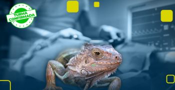 Pos-grad em Anestesia, Emergências e Terapia Intensiva em Pets_Capa Curso