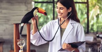 c-curso-introduçao-medicina-aves-famesp