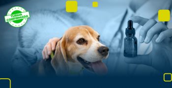 Pos-grad-em-Homeopatia-Veterinária-Clínica-CAPA-CURSO