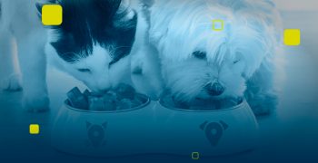 capa_nutrologia_caes_gatos
