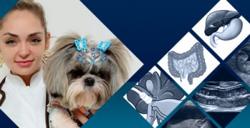 d-gastroenterologia-famesp