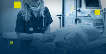 capa_pos_graduacao_anestesiologia