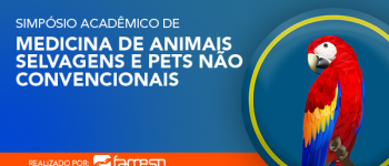 600x350 pixels_HEADER