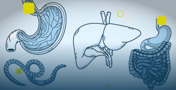 capa_pos_graduacao_gastro