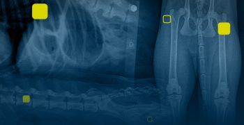 capa_pos_graduacao_radiologia